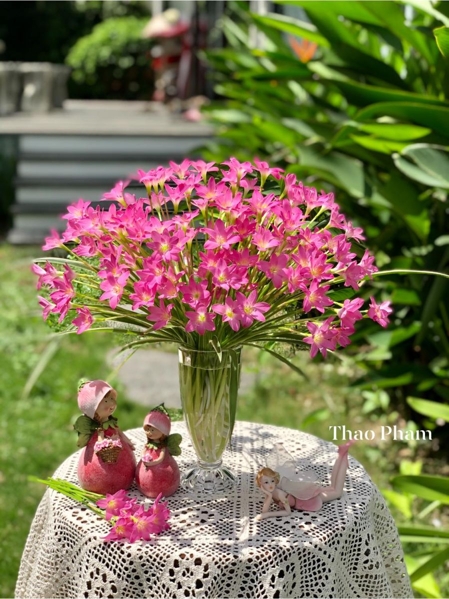 Tử vi hàng ngày - Thứ Ba 5/7/2022 của 12 cung hoàng đạo